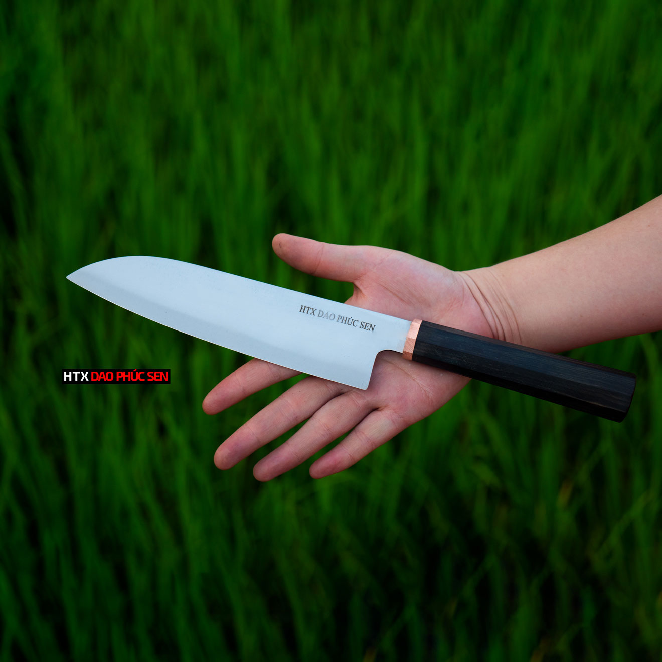 Dao lọc thép trắng cao cấp CL10 kháng gỉ tốt, bền đẹp