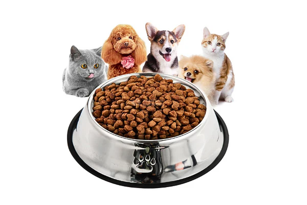 Thức ăn khô cho chó mèo