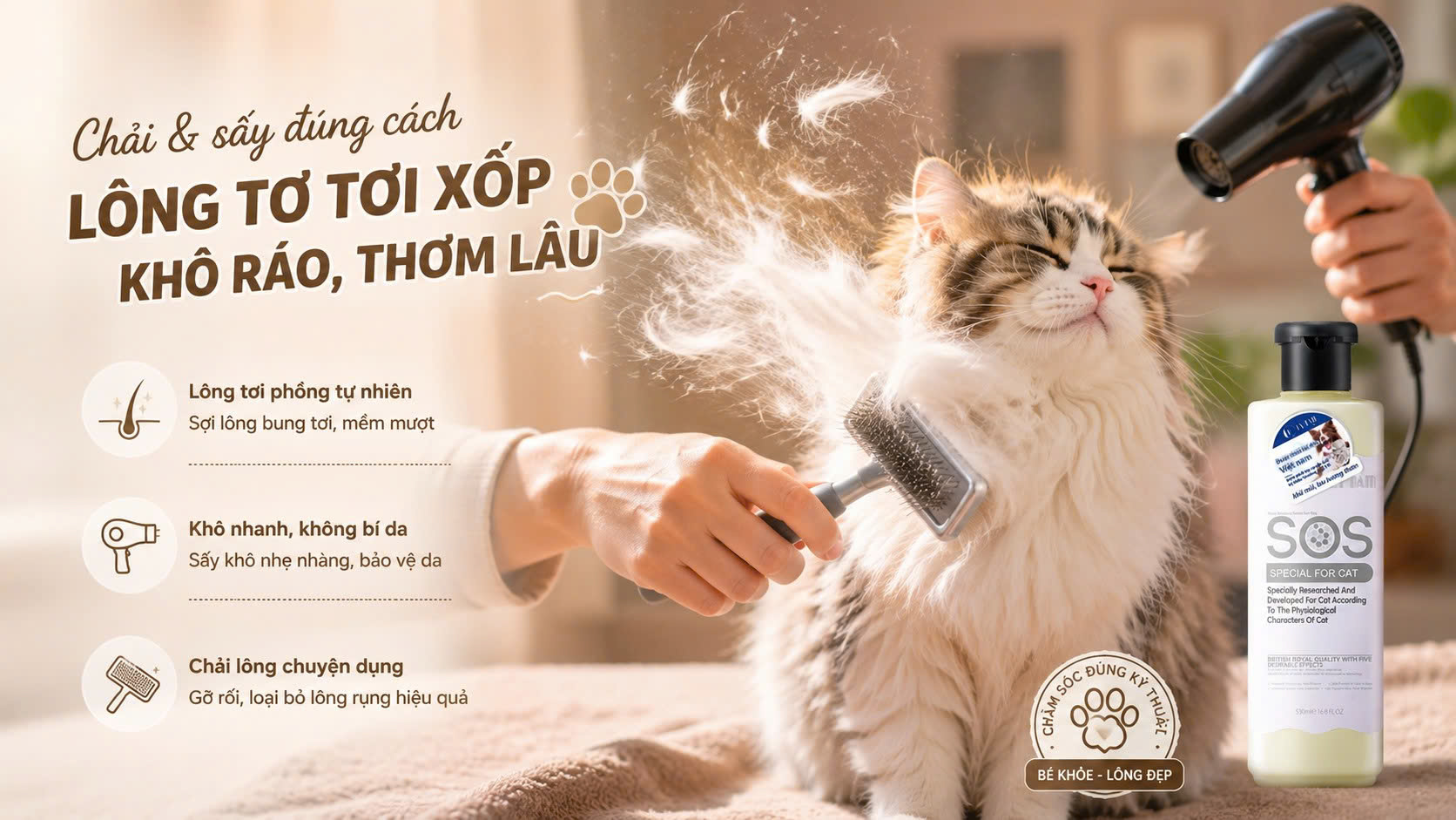 Sấy khô hoàn toàn đến tận lớp lông tơ sát da là thao tác quan trọng nhất để ngăn chặn vi khuẩn sinh mùi và giữ lông tơi phồng.