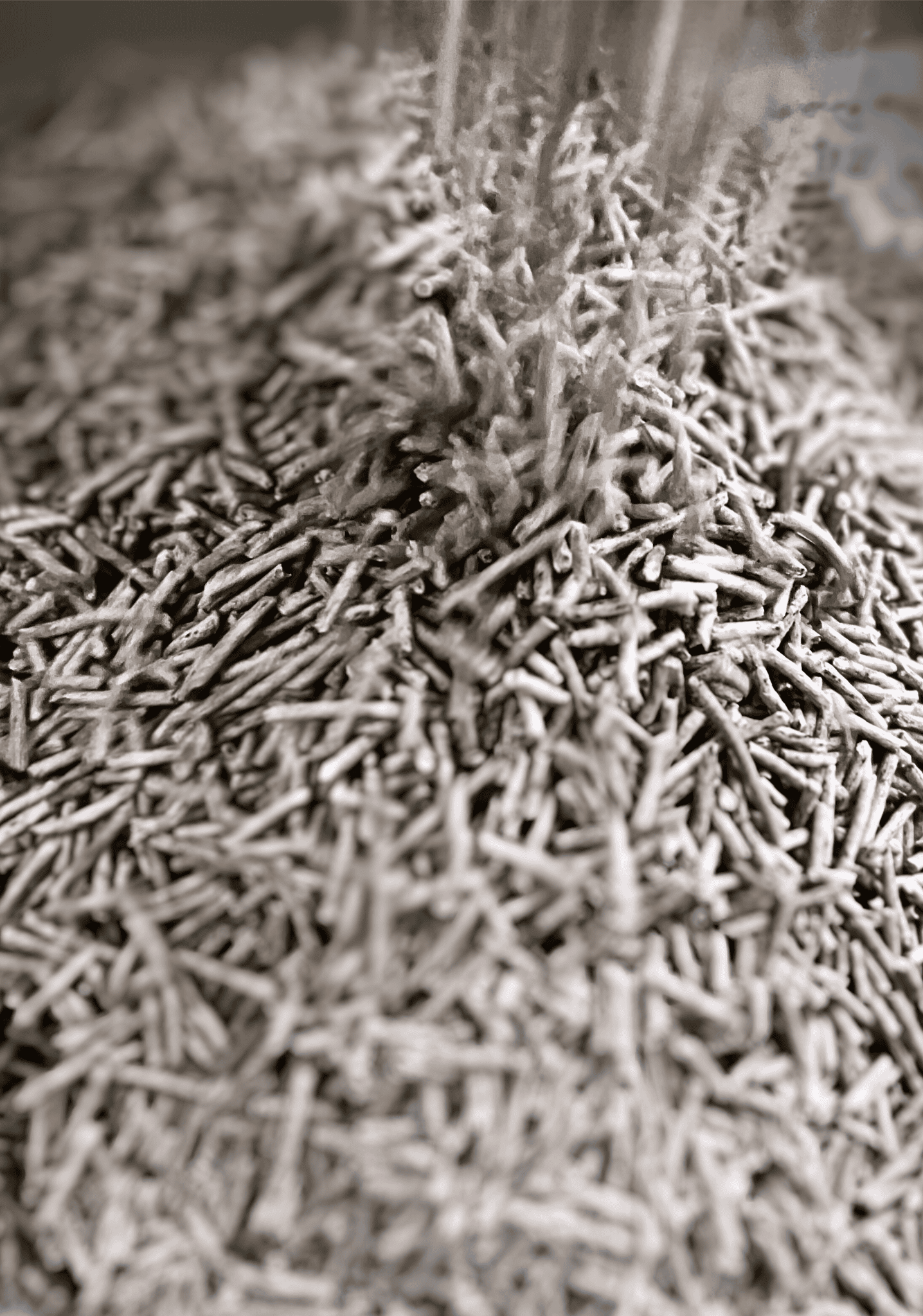 Cát đậu lành cho mèo Miso