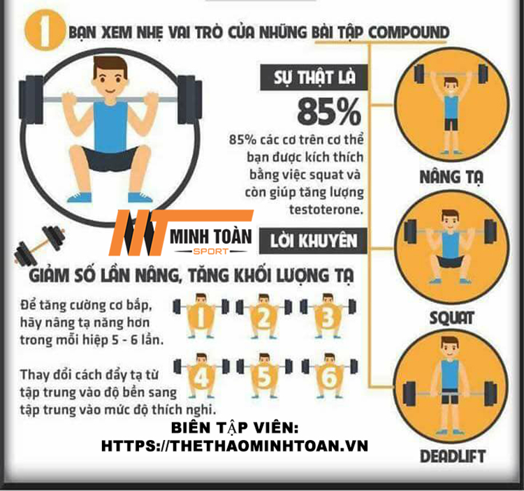 lý do làm cơ bắp bạn không phát triển