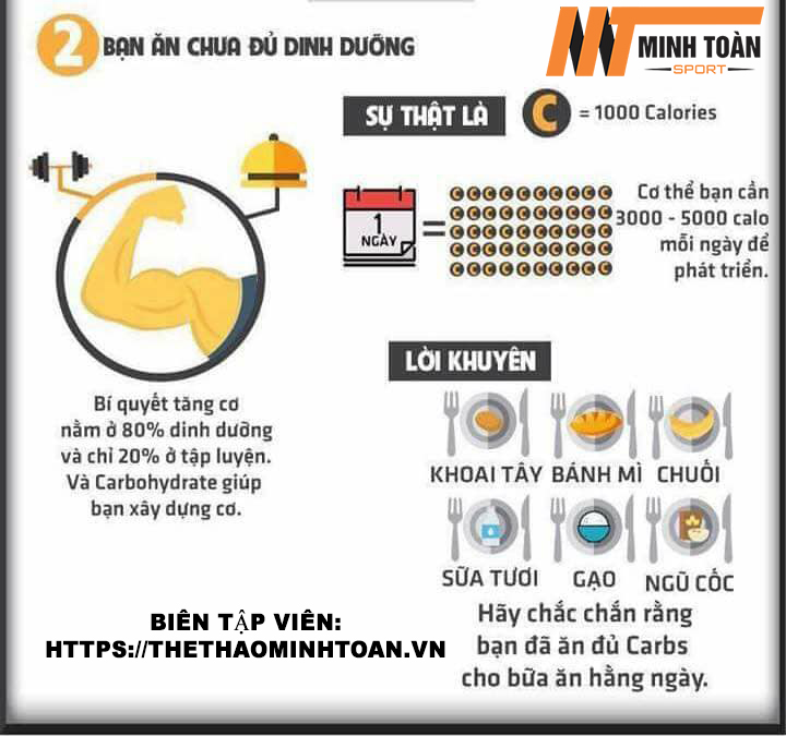 lý do làm cơ bắp bạn không phát triển 2