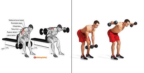 Dumbbell Rear Lateral Raise