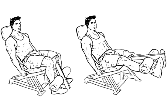 Leg Extensions