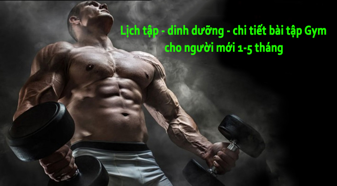 Lịch tập, Dinh dưỡng, Chi tiết các bài tập Gym cho người mới 1-5 tháng