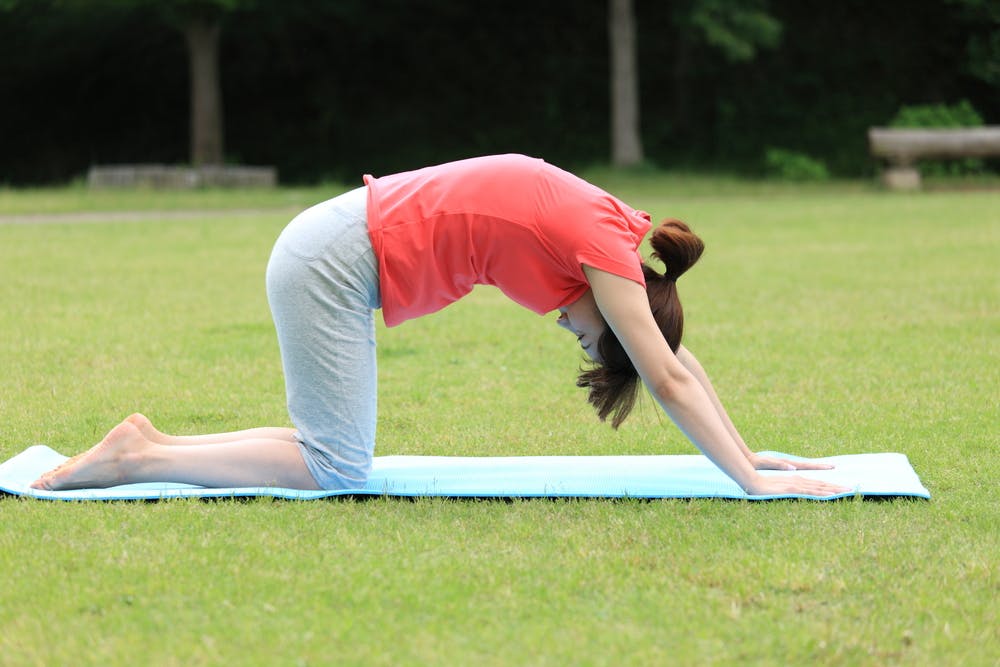 Yoga bầu