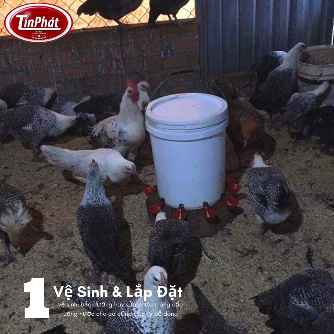 tự chế máng uống nước cho gà tự động , cốc hứng nước cho gà