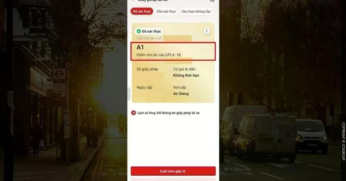 Màn hình sẽ hiển thị đầy đủ thông tin về giấy phép lái xe của bạn