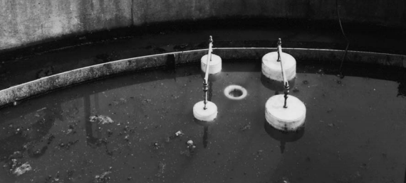 MÁY BƠM HÚT VÁNG BỌT NỔI BỀ MẶT SHIMAYWA -NHẬT BẢN