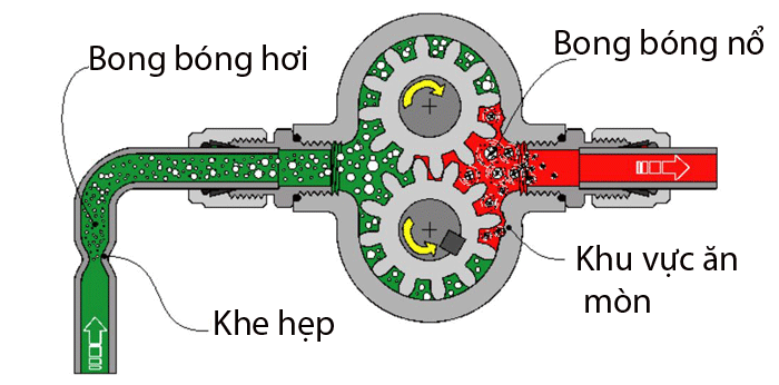 Máy bơm bánh răng bị xâm thực