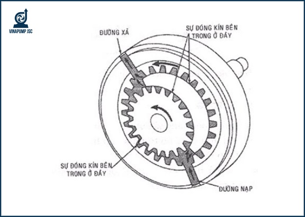 Cấu tạo của bơm bánh răng ăn khớp trong