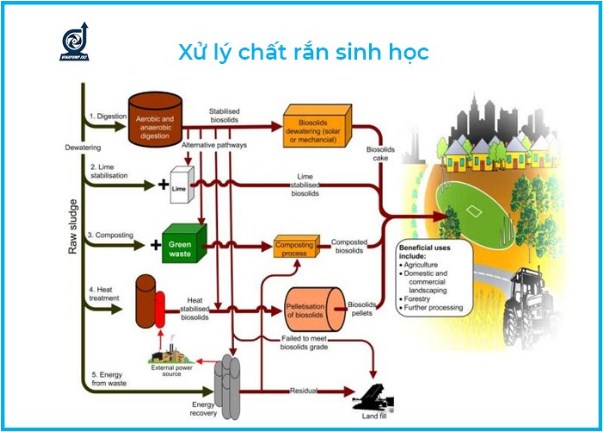 Xử lý chất rắn sinh học