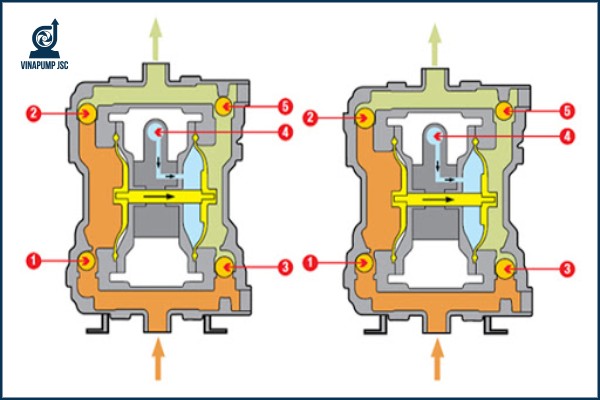 Nguyên lý hoạt động bơm màng