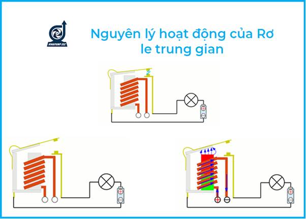 role trung gian la gi