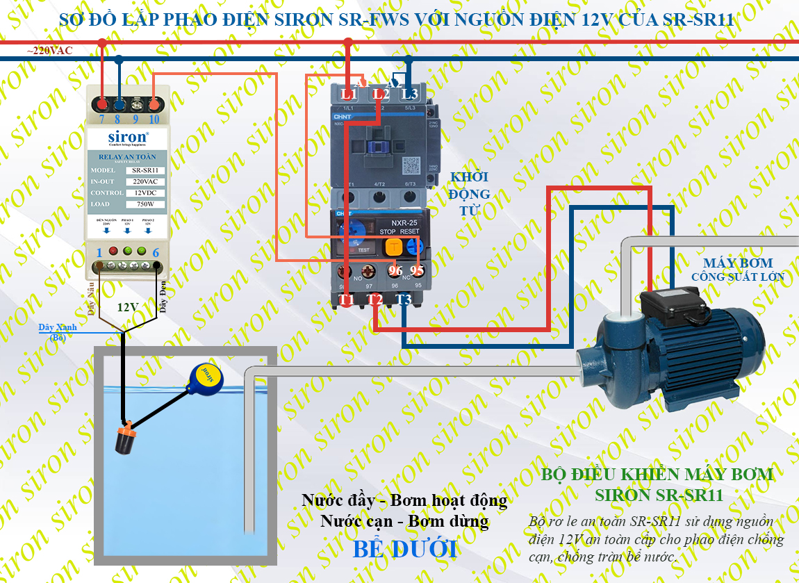 Hình ảnh bài viết