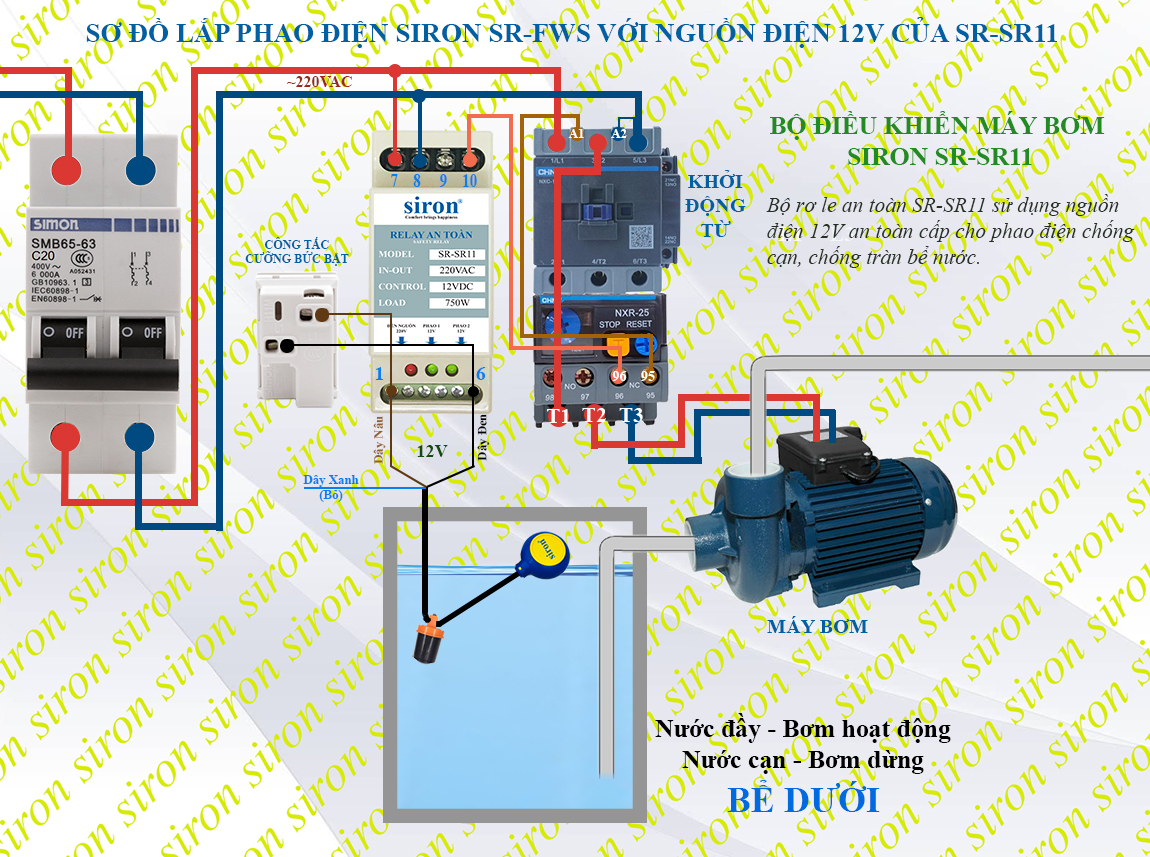 Hình ảnh bài viết