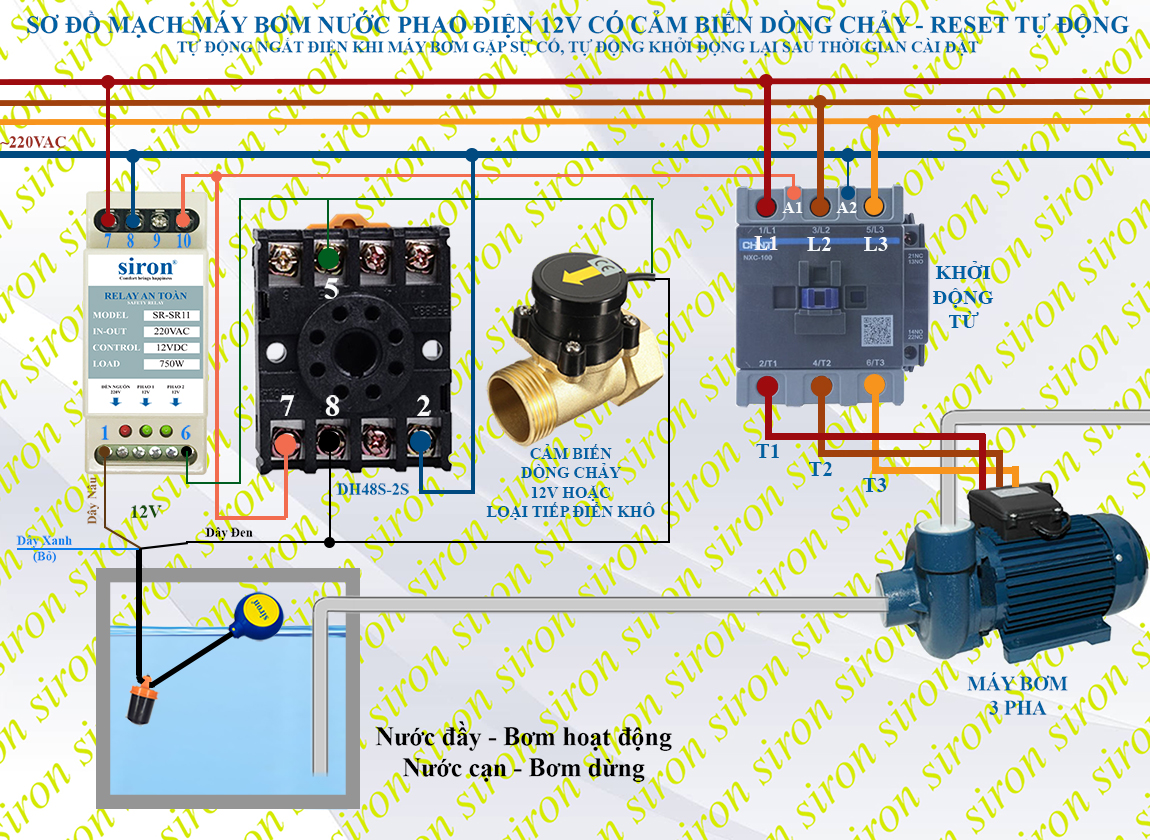 Hình ảnh bài viết