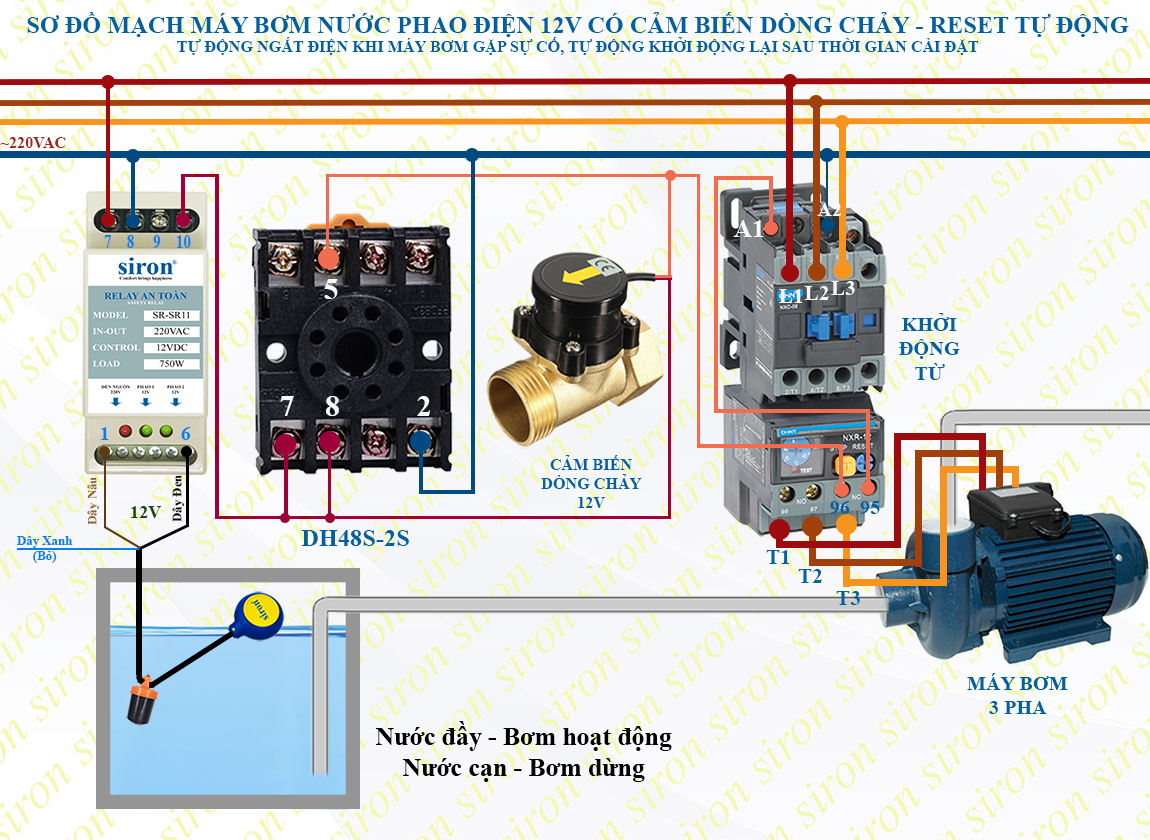 Hình ảnh bài viết