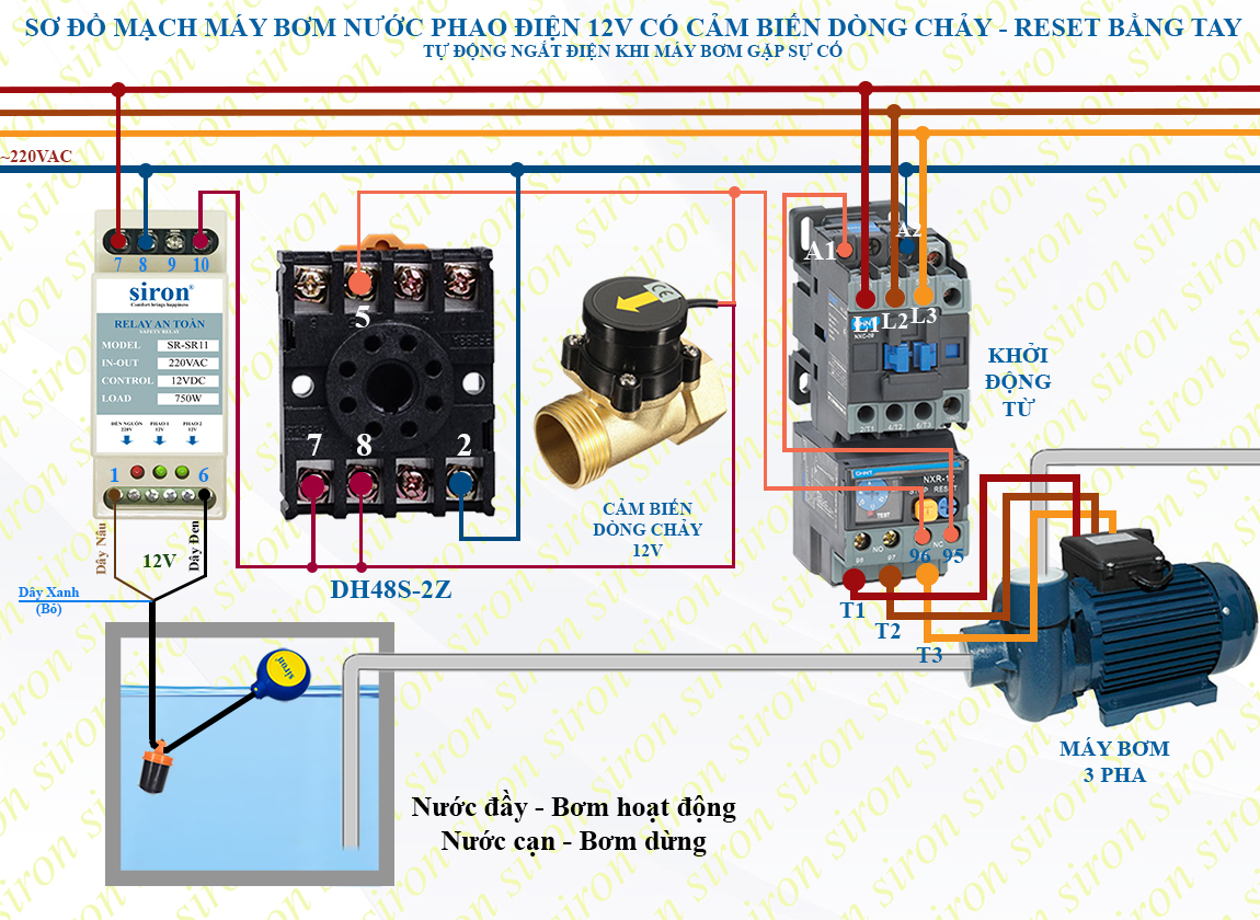 Hình ảnh bài viết