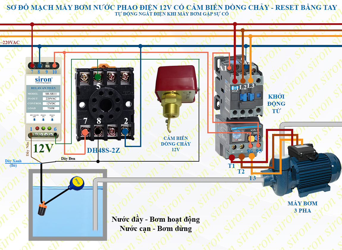 Hình ảnh bài viết