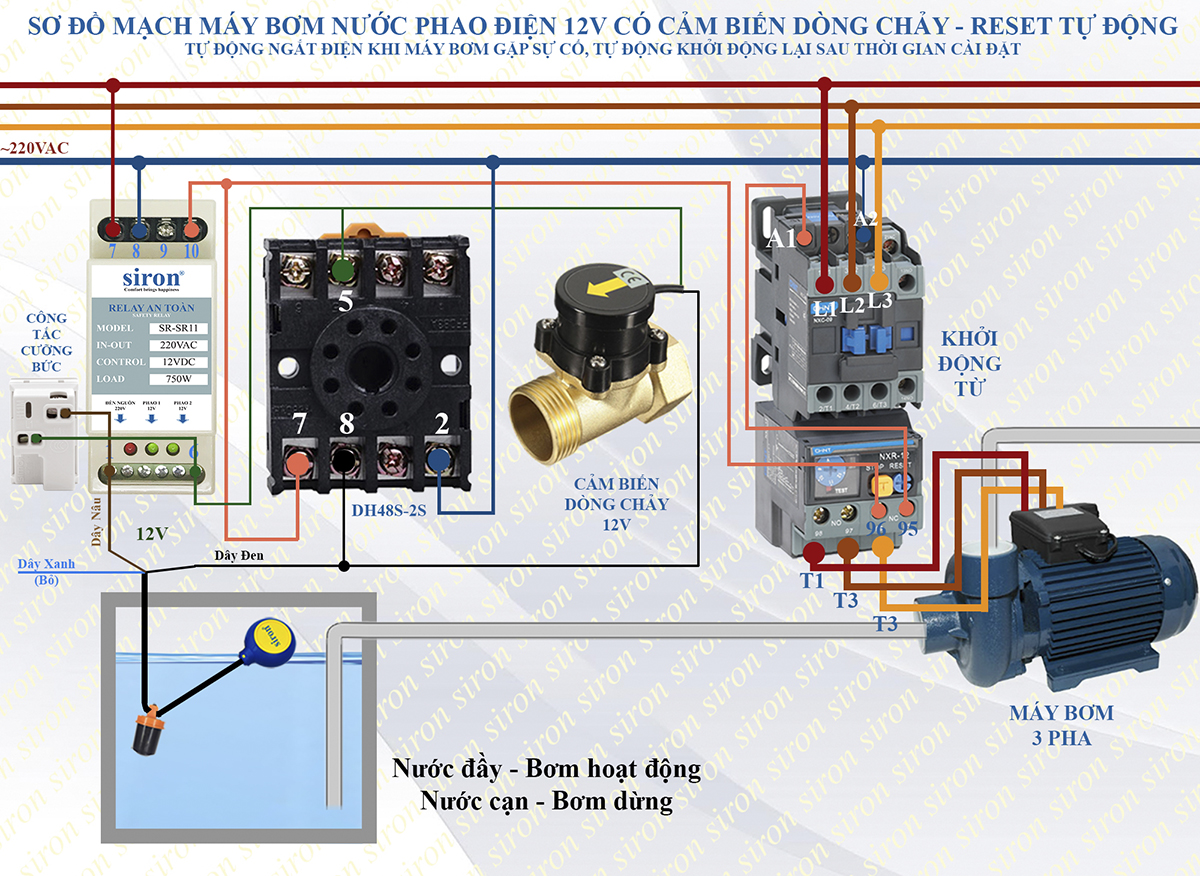 Hình ảnh bài viết