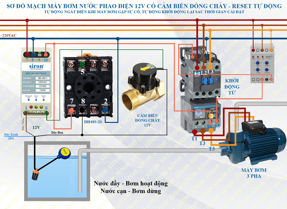 Hình ảnh bài viết