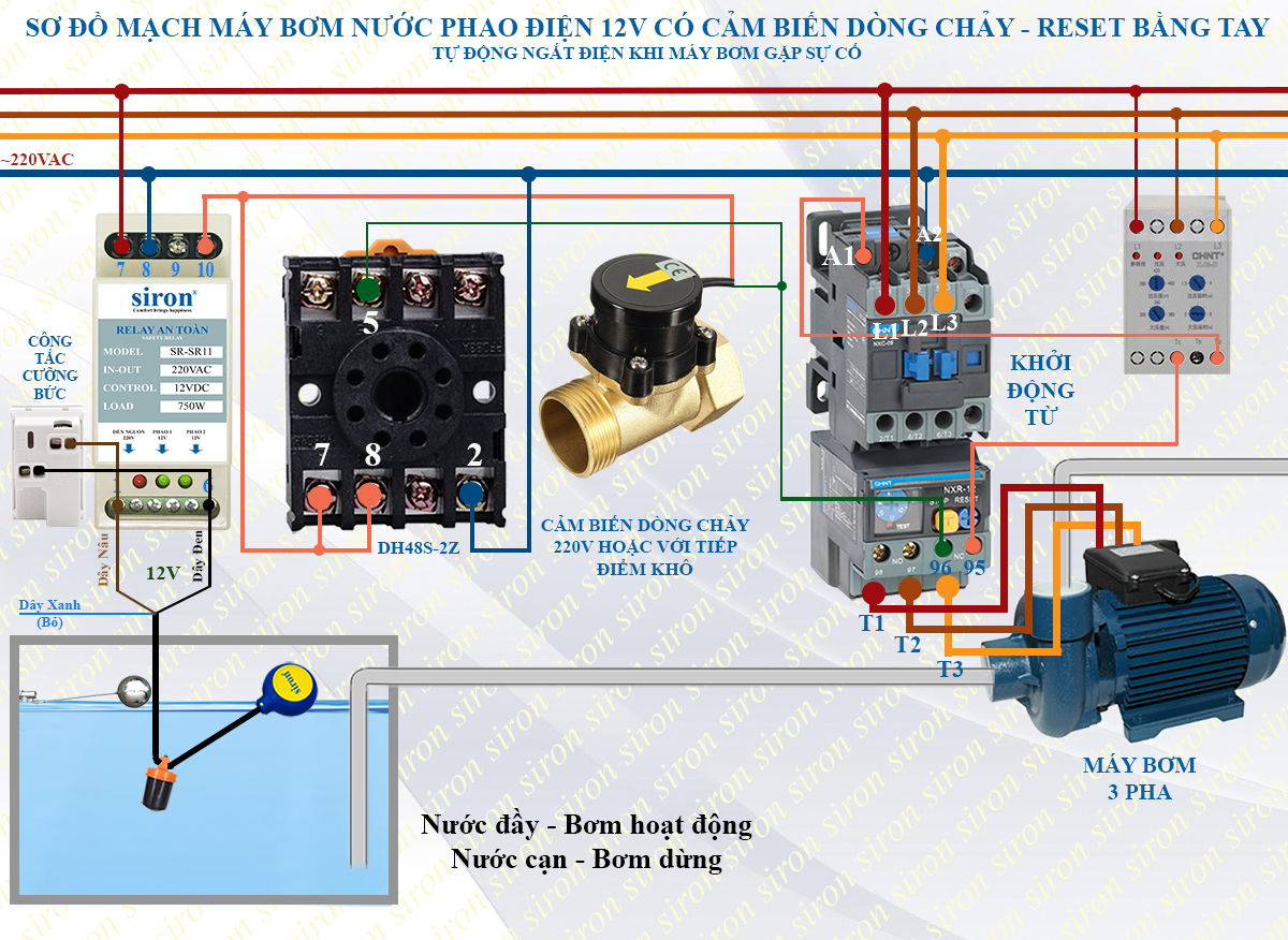 Hình ảnh bài viết