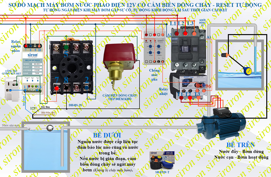 Hình ảnh bài viết