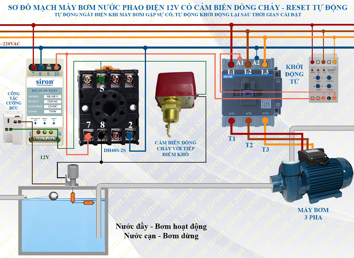 Hình ảnh bài viết