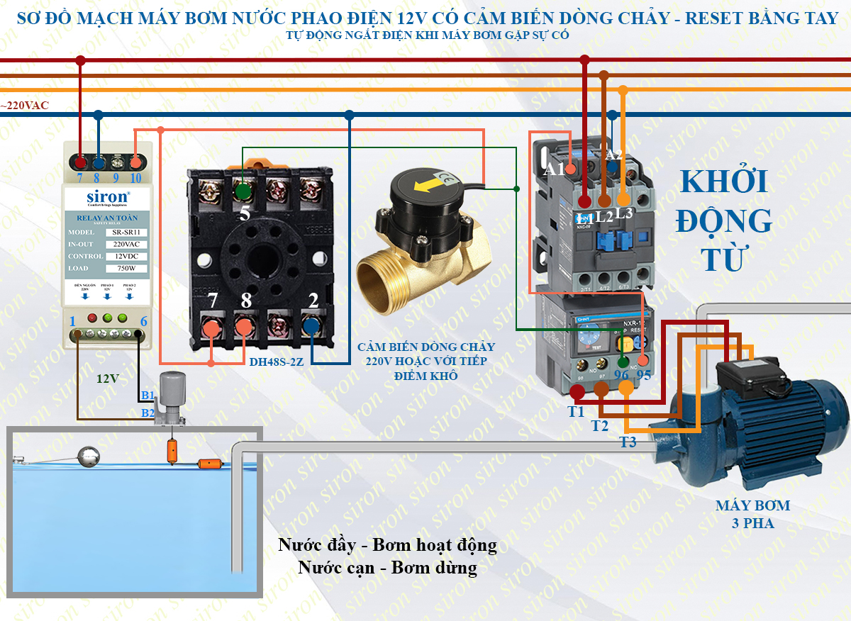 Hình ảnh bài viết