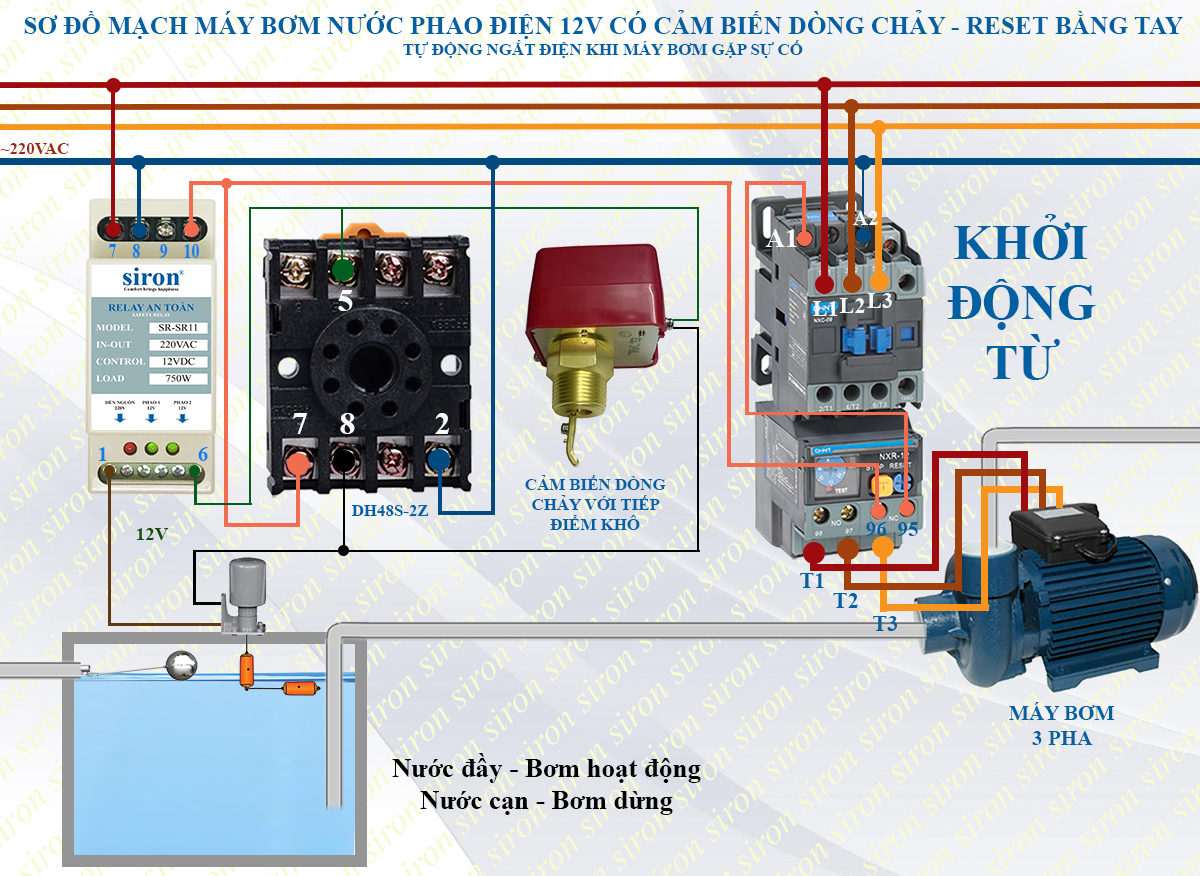 Hình ảnh bài viết
