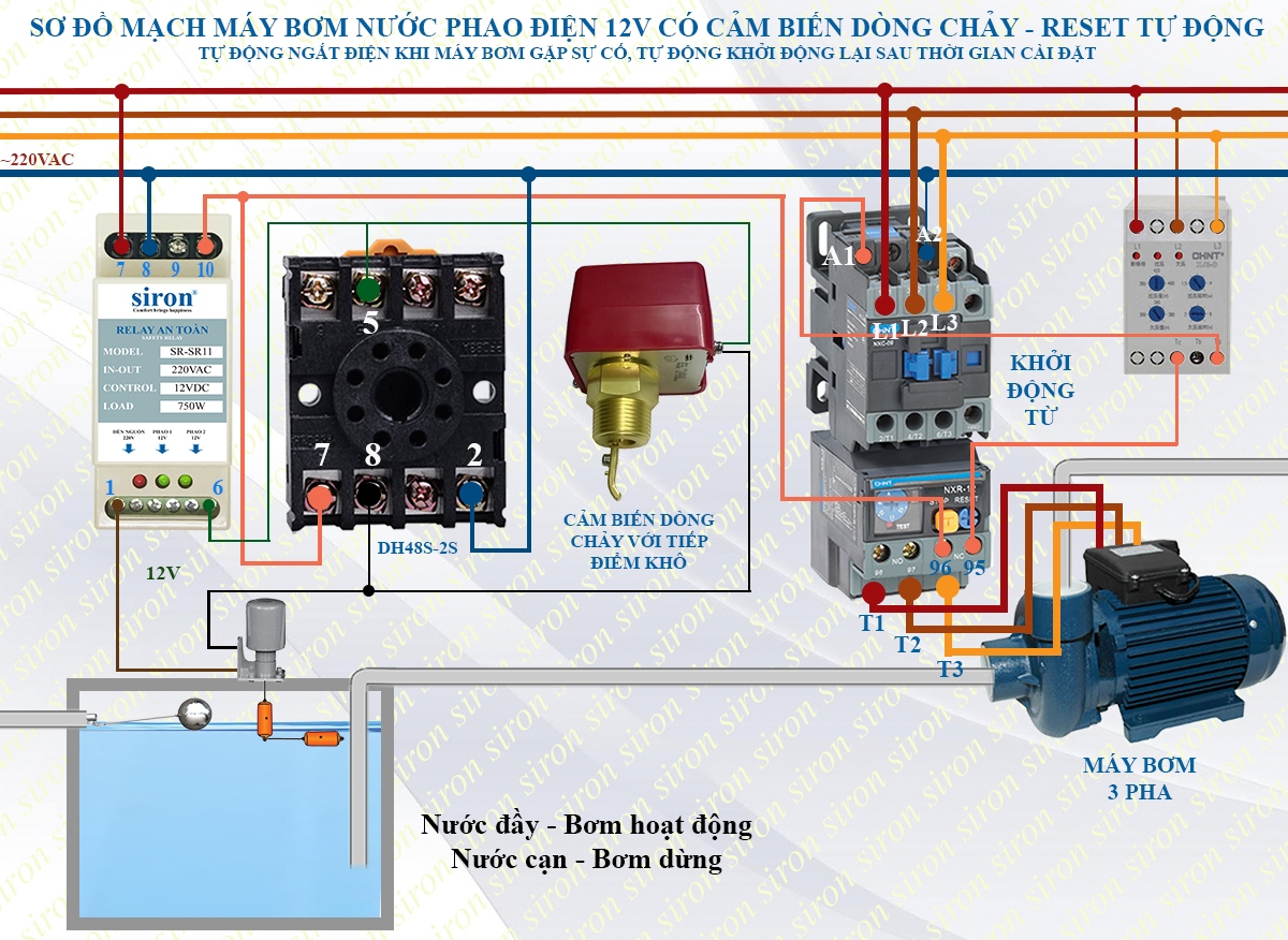 Hình ảnh bài viết