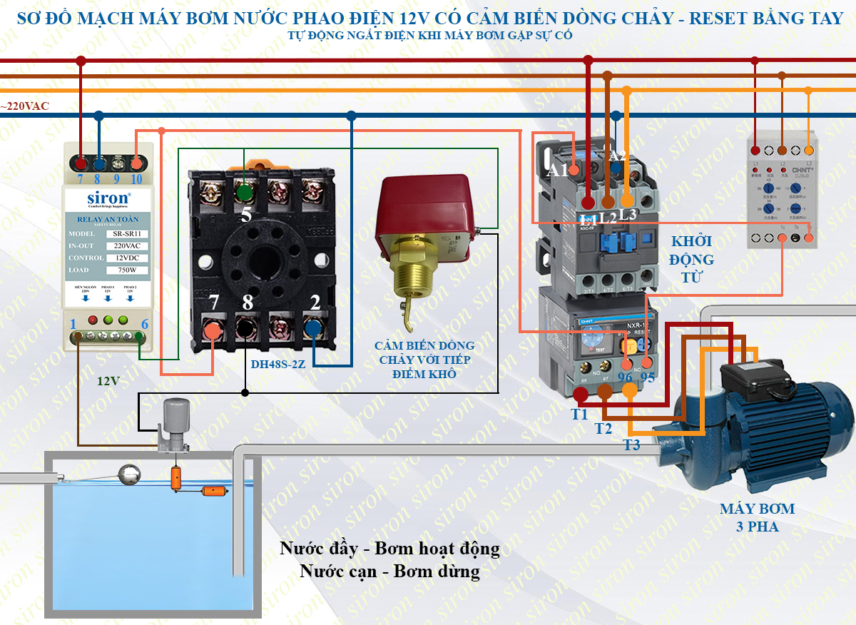 Hình ảnh bài viết