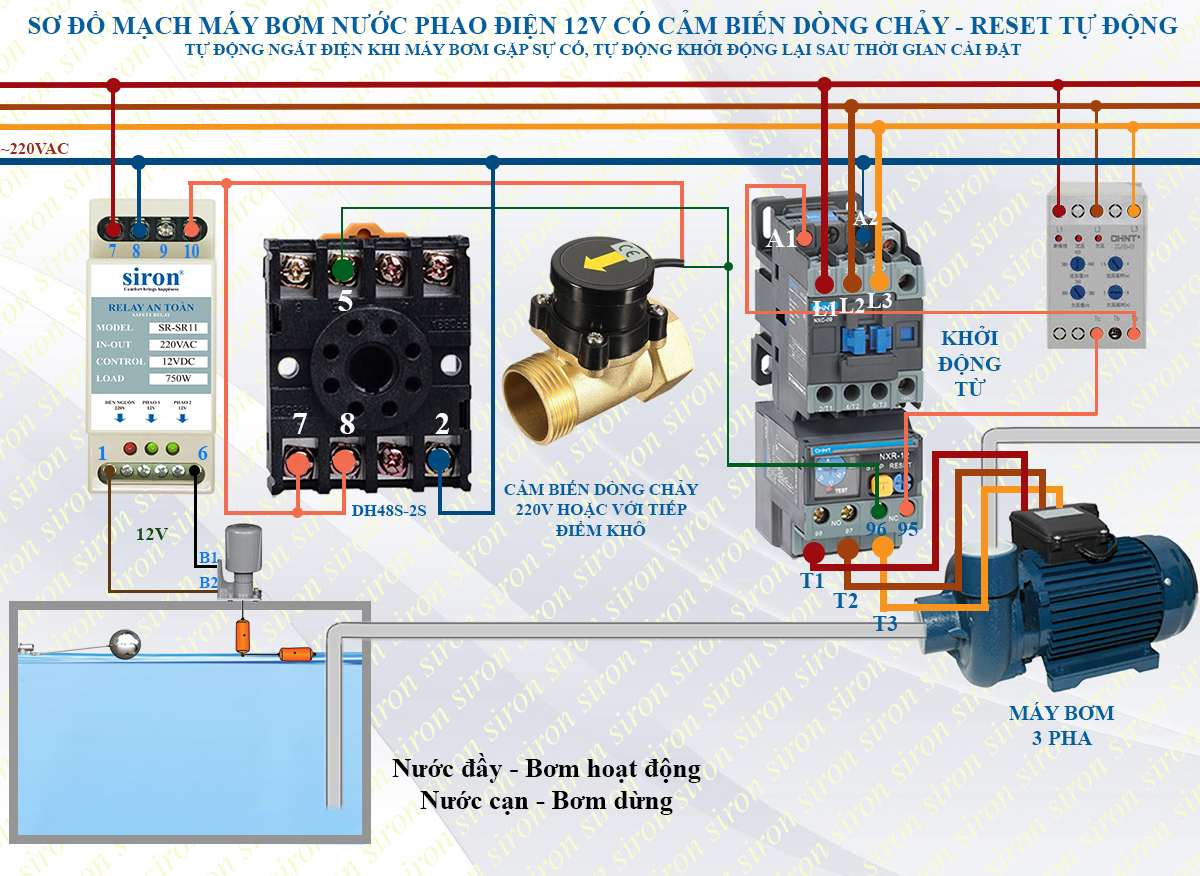Hình ảnh bài viết