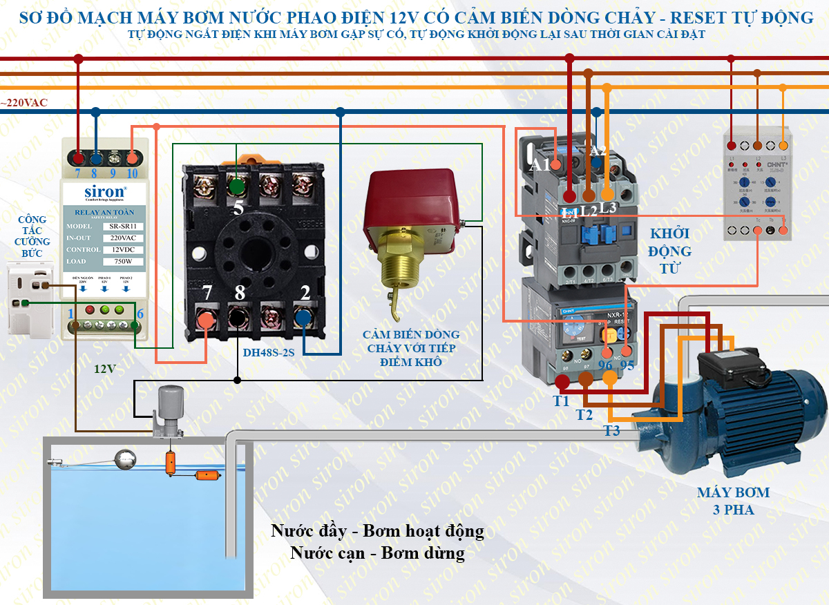 Hình ảnh bài viết