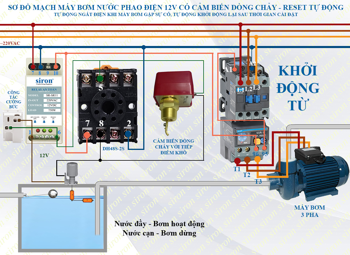 Hình ảnh bài viết