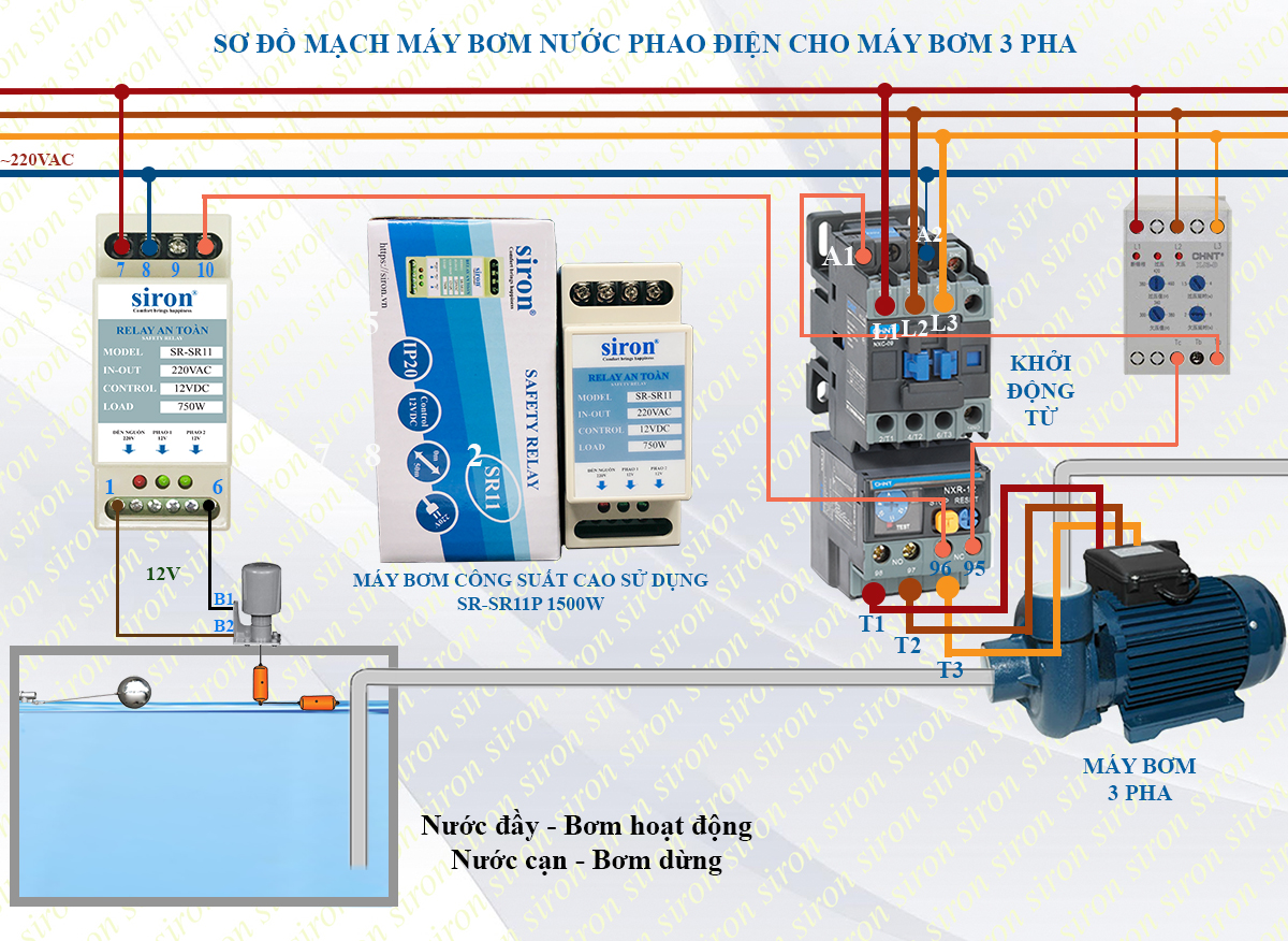 Hình ảnh bài viết