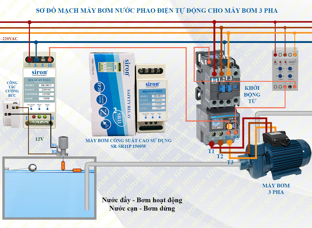Hình ảnh bài viết