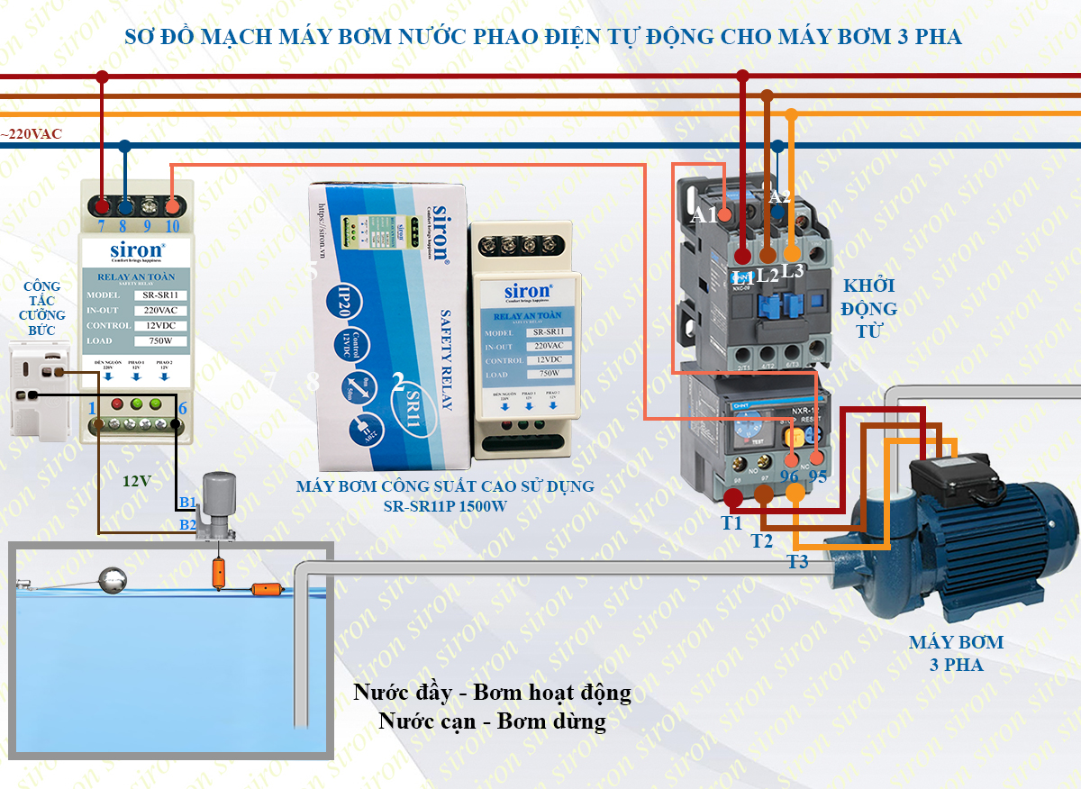 Hình ảnh bài viết