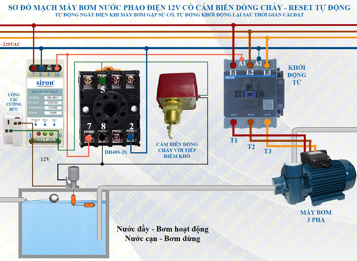 Hình ảnh bài viết