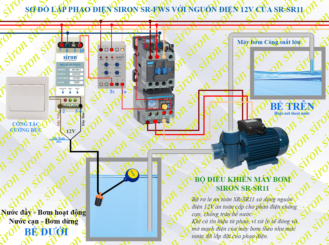Hình ảnh bài viết
