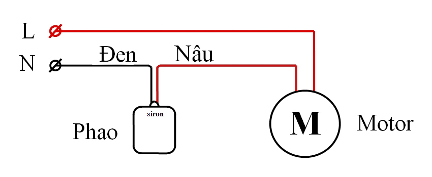 Hình ảnh bài viết