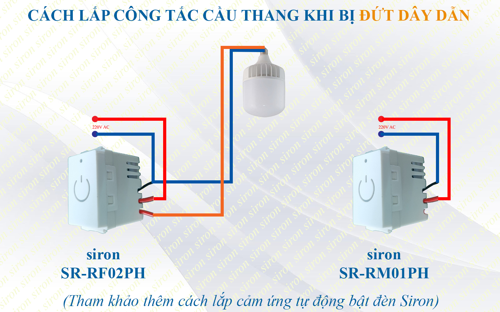 Hình ảnh bài viết
