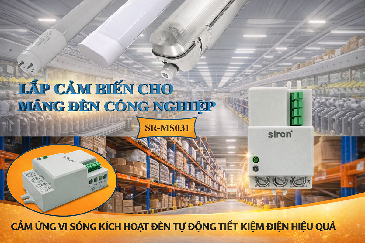 Hình ảnh bài viết