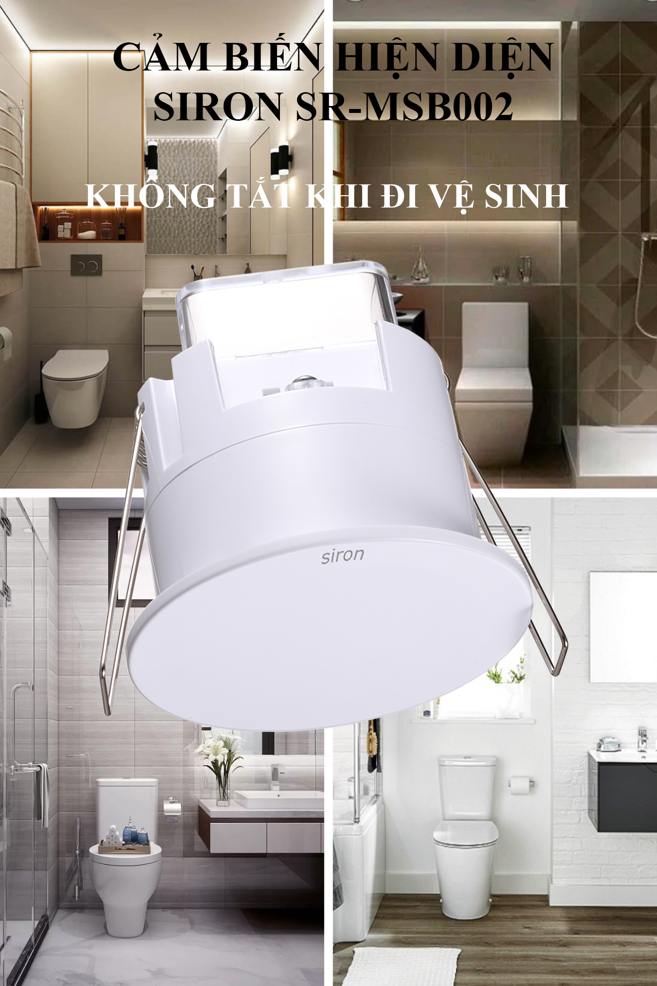 Hình ảnh bài viết