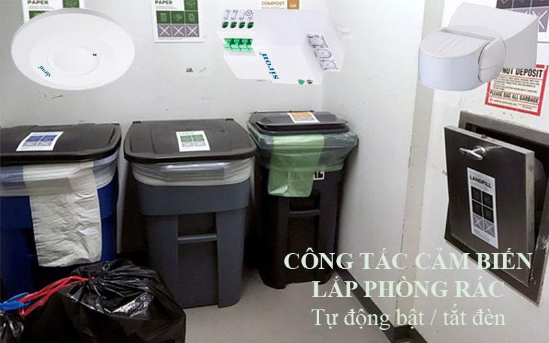 Hình ảnh bài viết