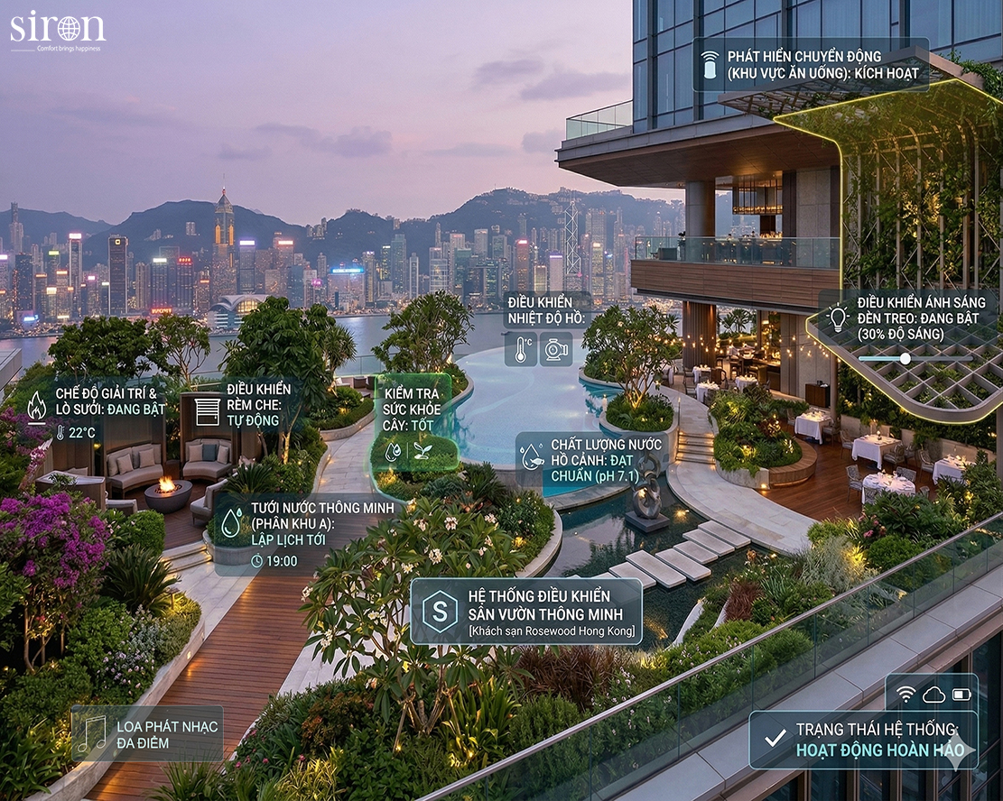 Hình ảnh bài viết