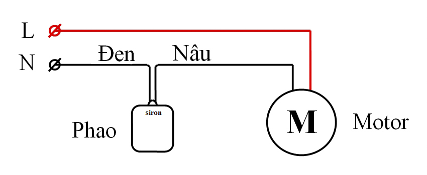 Hình ảnh bài viết