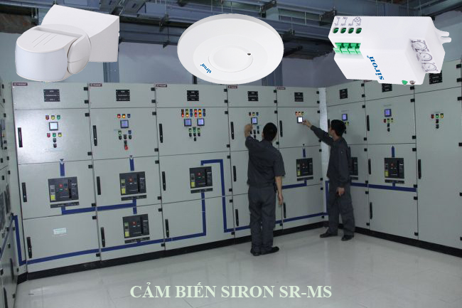 Hình ảnh bài viết