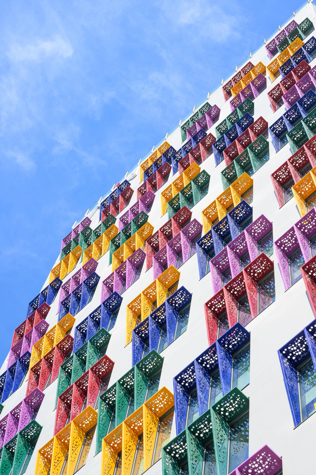 Hình ảnh bài viết